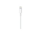 Apple Lightning till USB-C Kabel (1m)